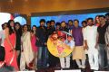 Gaddam Gang Movie Audio Launch Stills