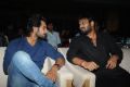 Gaddam Gang Movie Audio Launch Stills