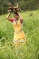 Actress Catherine Tresa in Gajendrudu Movie Stills