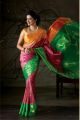 Nisha Krishnan Photoshoot for Pachaiyappas Silks