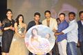 Garam Movie Audio Release Function Photos