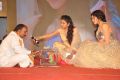 Garam Movie Audio Release Function Photos