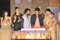 Garam Movie Audio Release Function Photos