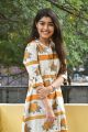 Actress Gargeyi Yellapragada Pics @ Evariki Cheppadu Interview