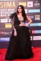Actress Garima Jain Hot Stills @ SIIMA Awards 2018 Red Carpet (Day 1)