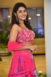 Actress Garima Chouhan Images @ Seetha Kalyana Vaibhogame Pre Release