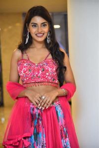 Actress Garima Chouhan Images @ Seetha Kalyana Vaibhogame Movie Pre Release