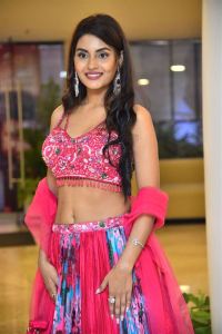 Seetha Kalyana Vaibhogame Movie Heroine Garima Chouhan Images