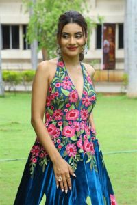 Seetha Kalyana Vaibhogame Actress Garima Chouhan Pictures