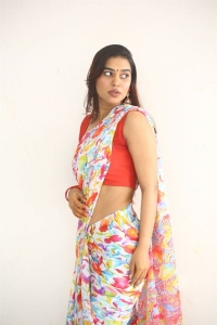 Telugu Actress Garima Singh Saree Pictures