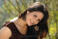 Gauri Sharma Cute Smile Stills