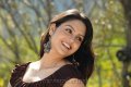 Gauri Sharma Cute Smile Stills