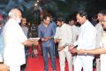 Balakrishna's Gautamiputra Satakarni Movie Opening Stills