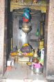 Gautamiputra Satakarni Pooja at Kotilingala Temple Karimnagar Photos
