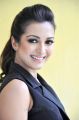 Actress Catherine Tresa in Black Dress Photos @ Goutham Nanda Interview