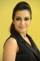 Gautham Nanda Actress Catherine Tresa in Black Dress Photos