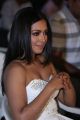 Actress Catherine Tresa @ Gautham Nanda Movie Teaser Launch Stills