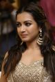 Actress Catherine Tresa @ Gautham Nanda Success Meet Photos