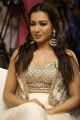 Heroine Catherine Tresa @ Gautham Nanda Success Meet Photos