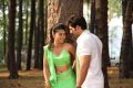 Shriya Sharma, Ali Raza in Gayakudu Telugu Movie Stills