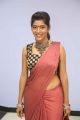 Actress Gayathri Gupta in Saree Hot Photos