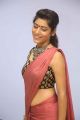 Actress Gayathri Gupta in Saree Hot Photos