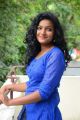 Telugu Actress Gayatri in Blue Dress Photos