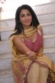 Telugu Actress Gayathri Iyer Hot Pics