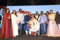 Gayathri Movie Audio Launch Stills