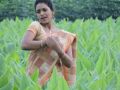 actress-gayathri-stills-in-saaya-movie-10