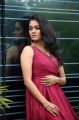 Actress Gayathrie Shankar Photos HD @ Vella Raja Web Series Launch