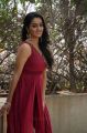 Actress Gayathri Shankar Photos HD @ Vella Raja Series Launch