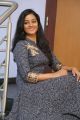 Actress Gayathrie Shankar Images in Grey Long Dress
