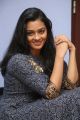 Actress Gayathrie Shankar Images in Grey Long Dress
