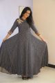 Actress Gayathrie Shankar Images in Long Dress