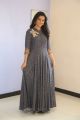 Actress Gayathrie Shankar Images in Long Dress