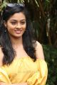 Actress Gayathrie Shankar New Images HD