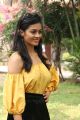 Actress Gayathrie Shankar Images HD @ Oru Nalla Naal Paathu Solren Press Meet