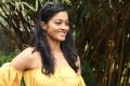 Actress Gayathrie Shankar New Images HD