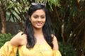 Actress Gayathrie Shankar Images HD @ Oru Nalla Naal Paathu Solren Press Meet