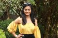 Actress Gayathri Shankar Images HD @ Oru Nalla Naal Paathu Solren Press Meet