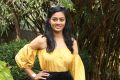 Actress Gayathrie Shankar New Photoshoot Images HD