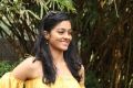 Actress Gayathrie Shankar New Photoshoot Images HD