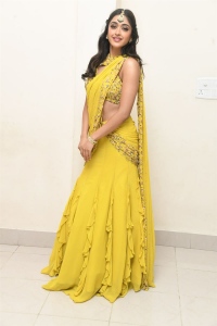Actress Gayatri Bhardwaj Photos @ Tiger Nageswara Rao Pre Release