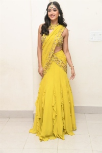Tiger Nageswara Rao Actress Gayatri Bhardwaj Saree Photos