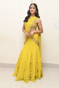 Tiger Nageswara Rao Actress Gayatri Bhardwaj Saree Photos