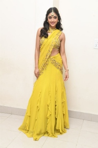 Actress Gayatri Bhardwaj Saree Photos @ Tiger Nageswara Rao Pre Release