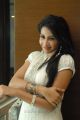Actress Gayatri Iyer Photo Gallery