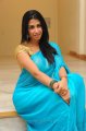 Gayatri Iyer Hot in Blue Saree Photo Shoot Stills