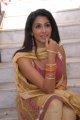 Telugu Actress Gayatri Iyer Hot Stills